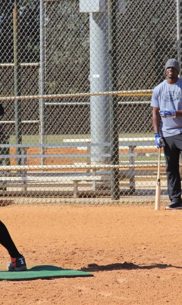 For Adeiny Hechavarria, hitting taking precedence in offseason drills